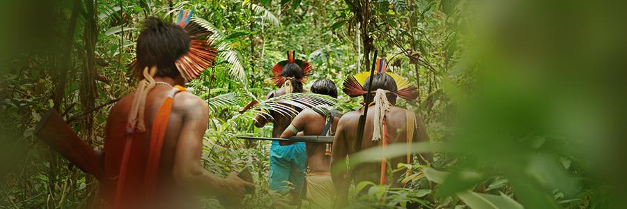 Conservation goes hand in hand with rising income in the Philippines Conservation goes hand in hand with rising income in the Philippines