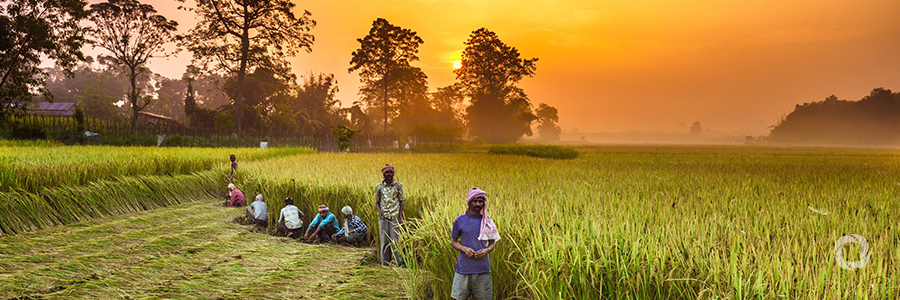 IFAD and Nepal invest US$68.1 million to improve incomes and food and nutrition security for rural smallholders