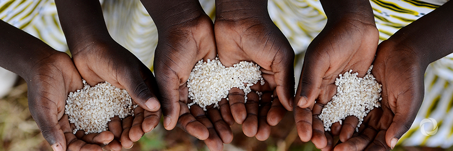 WFP launches food assistance for Ebola-affected people in Democratic Republic of Congo