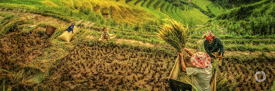 AfDB approves US$ 15m equity investment in Africa Food Security Fund to boost agri-business in Africa AfDB approves US$ 15m equity investment in Africa Food Security Fund to boost agri-business in Africa