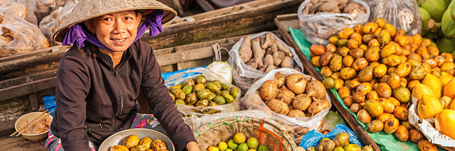 IFC and New Zealand support smallholder farmers to improve food safety in Vietnam IFC and New Zealand support smallholder farmers to improve food safety in Vietnam