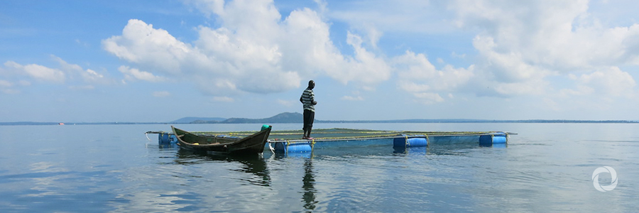 IFAD, Kenya sign deal to develop aquaculture sector, reduce rural poverty