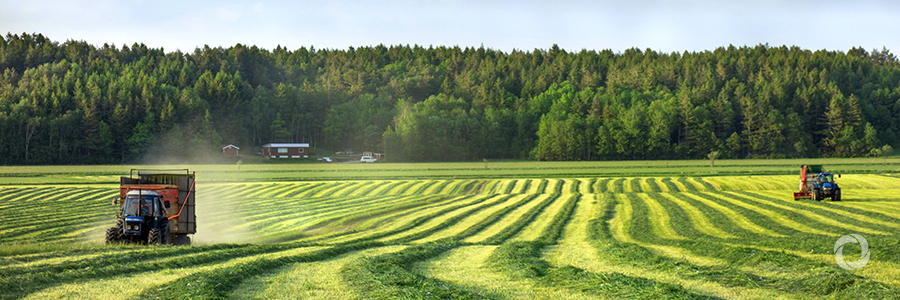 Financing green agriculture in the Baltic states Financing green agriculture in the Baltic states