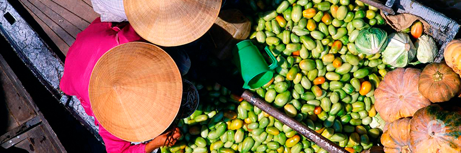 IFAD and GEF: Working together to boost the development dividend