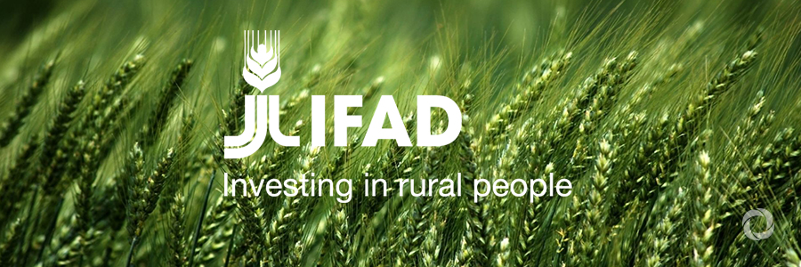 IFAD's Transparency Agenda IFAD's Transparency Agenda