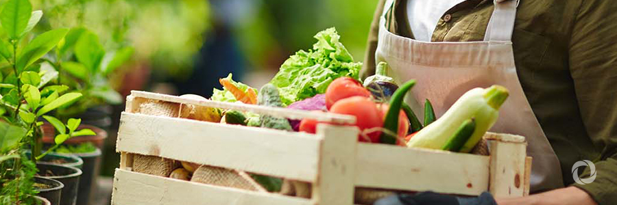 CABEI has an impact on MSMEs in renewable energy and agriculture CABEI has an impact on MSMEs in renewable energy and agriculture