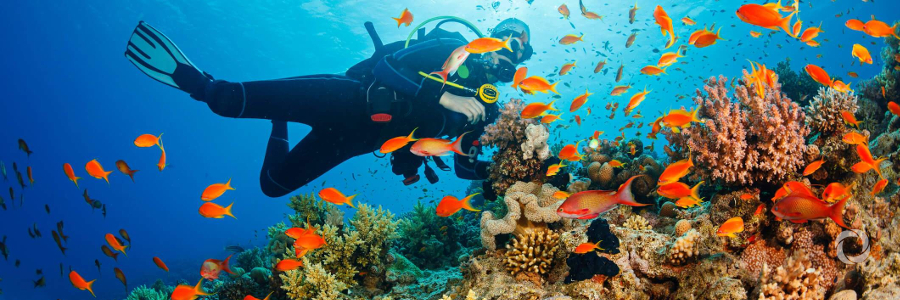 Belize Barrier Reef Reserve System removed from the List of World Heritage in Danger