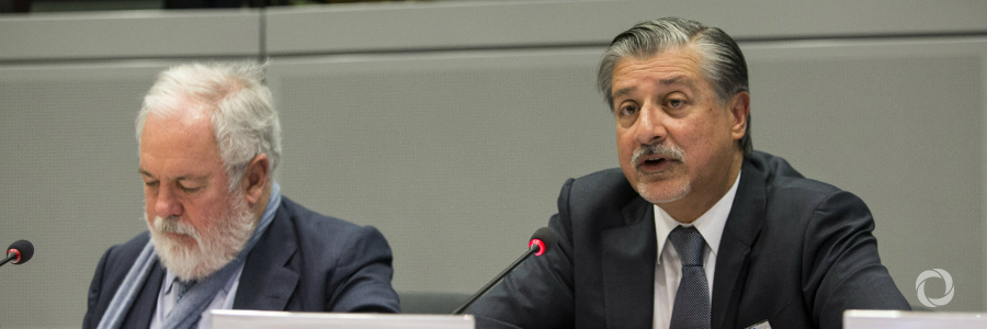 IRENA backs EU renewable energy boost plan IRENA backs EU renewable energy boost plan