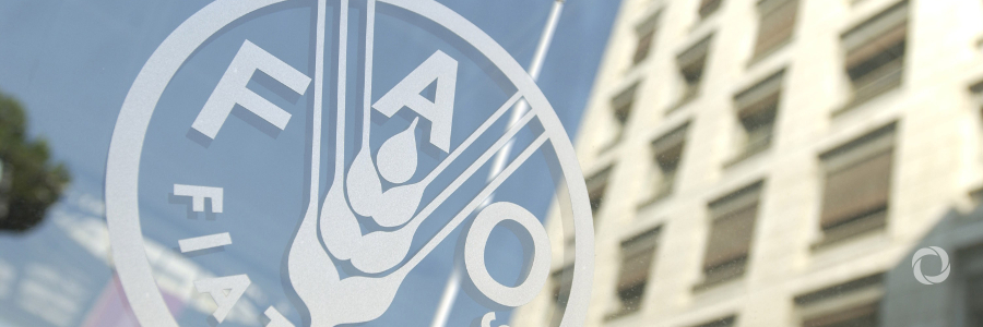 Iran, FAO cooperating to combat desertification