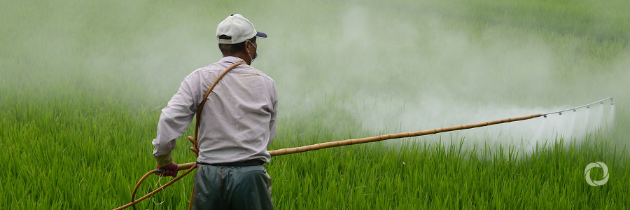 Pollutants from agriculture a serious threat to world's water Pollutants from agriculture a serious threat to world's water