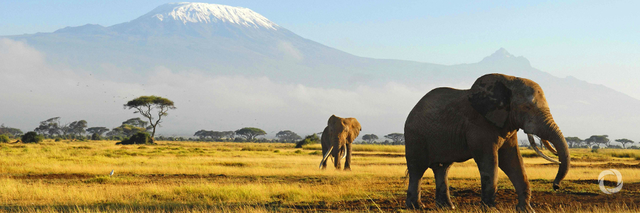 KfW supports the world's largest nature conservation area: an additional EUR 15.5 million for the KaZa park in southern Africa KfW supports the world's largest nature conservation area: an additional EUR 15.5 million for the KaZa park in southern Africa