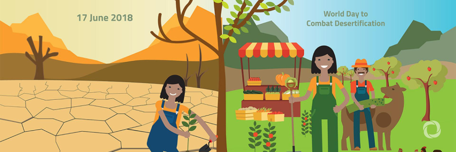 On World Day to Combat Desertification, UN shines spotlight on ‘true value’ of land
