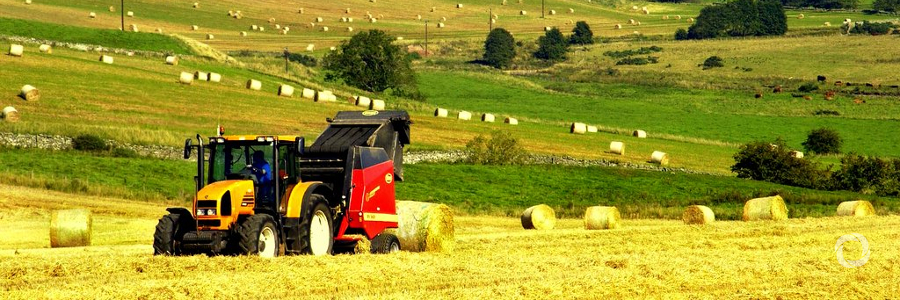 Two FAO projects benefit from Belgium’s innovation funding Two FAO projects benefit from Belgium’s innovation funding