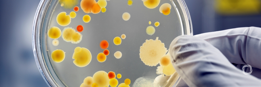 EU takes action against antimicrobial resistance