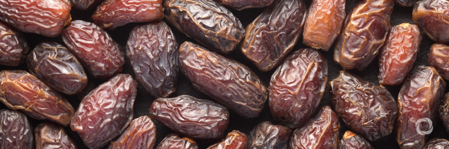 Palestinian teritories: Dates help the local economy grow
