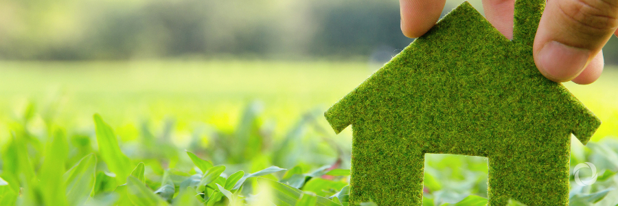 World Bank and SEB partner with Scandinavian Institutional Investors to finance "Green" projects