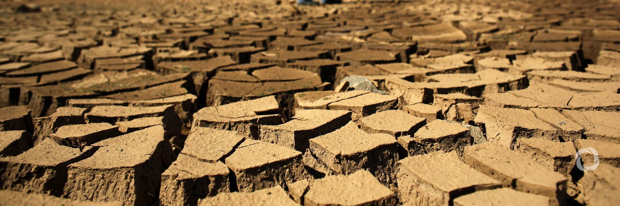 FAO: New programme to boost soil productivity and reduce soil degradation in Africa FAO: New programme to boost soil productivity and reduce soil degradation in Africa