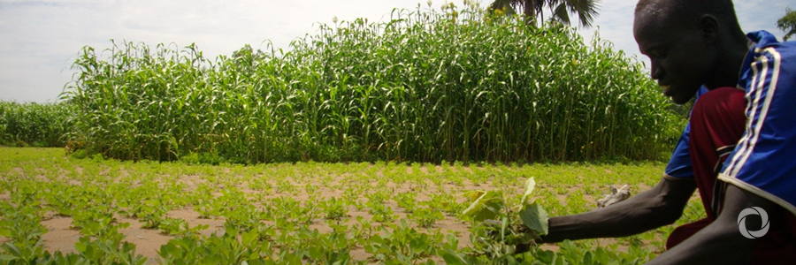 IFAD and the Republic of Mali sign a US$105.5 million financial agreement to benefit smallholder farmers IFAD and the Republic of Mali sign a US$105.5 million financial agreement to benefit smallholder farmers