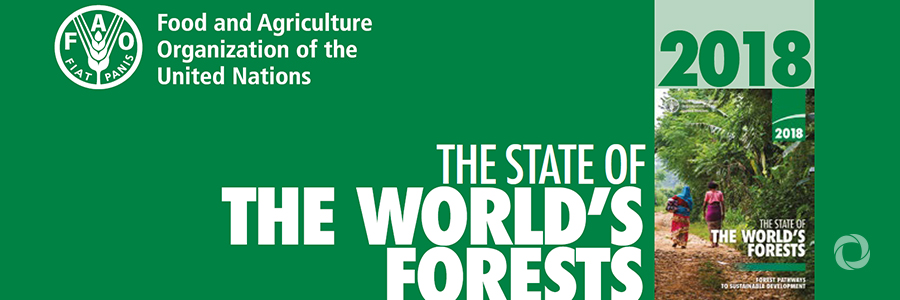 FAO publishes new State of the World’s Forests report