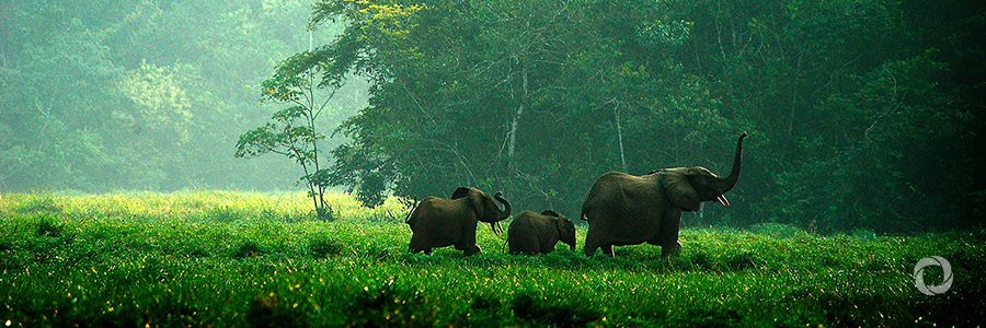 Partnering on wildlife management is important to protect biodiversity and livelihoods Partnering on wildlife management is important to protect biodiversity and livelihoods