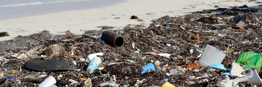 New scheme to fight plastics pollution gains UK Government grant funding New scheme to fight plastics pollution gains UK Government grant funding