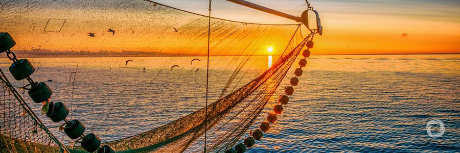World Bank supports Montenegro improve the competitiveness of agriculture and fisheries World Bank supports Montenegro improve the competitiveness of agriculture and fisheries