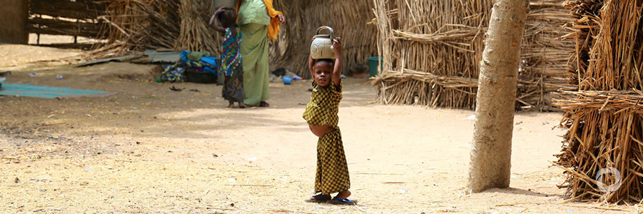 UN Food Agencies team up to secure livelihoods in Northeast Nigeria UN Food Agencies team up to secure livelihoods in Northeast Nigeria