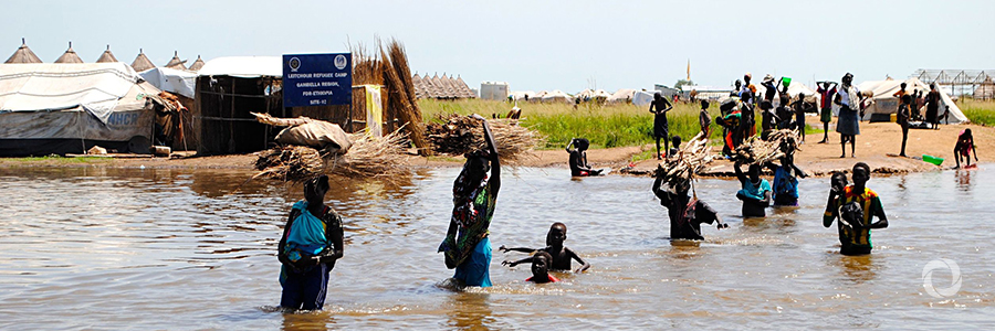 Humanitarian situation worsens as over 800,000 displaced people face cold and heavy rains in Ethiopia Humanitarian situation worsens as over 800,000 displaced people face cold and heavy rains in Ethiopia