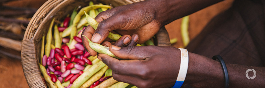 UK boosts WFP efforts to break the cycle of hunger in Malawi