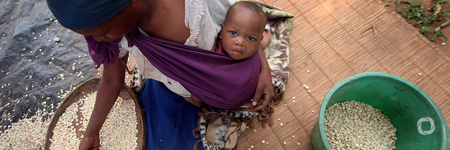 FAO reiterates support to Portuguese-speaking countries to eradicate hunger and malnutrition FAO reiterates support to Portuguese-speaking countries to eradicate hunger and malnutrition