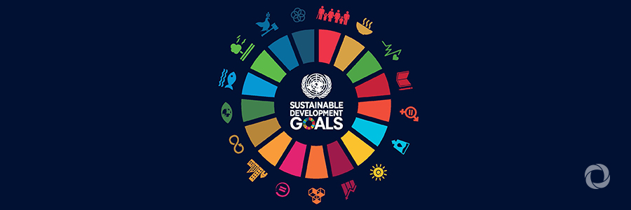 Progress has been made, but 'not at a sufficient speed to realize the SDGs': UN ECOSOC President Progress has been made, but 'not at a sufficient speed to realize the SDGs': UN ECOSOC President