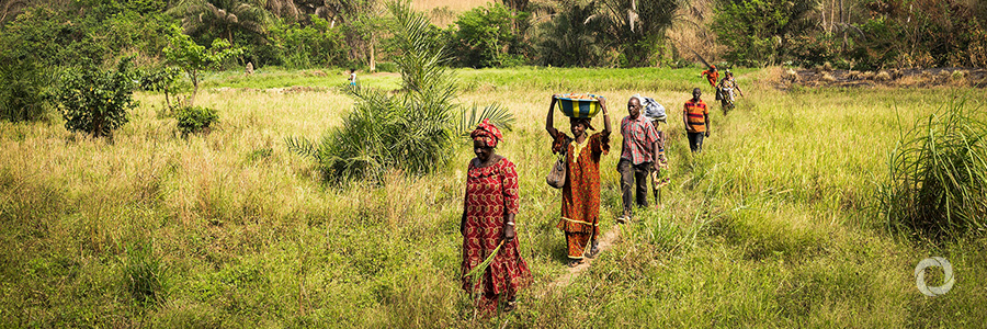 Addressing gender in climate change policies for agriculture Addressing gender in climate change policies for agriculture