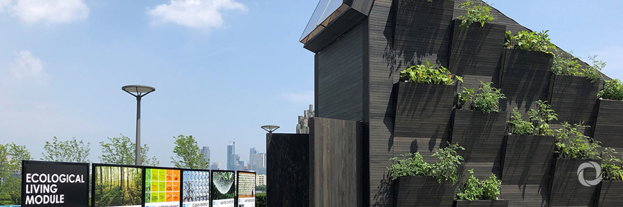 Small and sustainable: “Tiny houses” could be solution to world’s housing problems Small and sustainable: “Tiny houses” could be solution to world’s housing problems