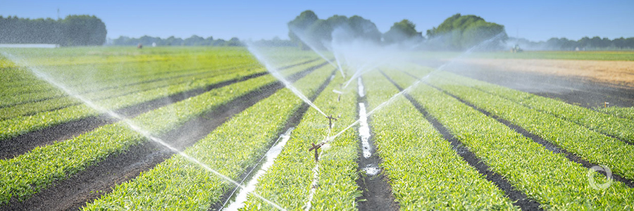 Eswatini farmers to get improved access to water with EIB support