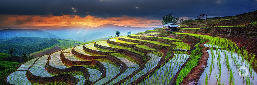 Nearly 4.3 million to benefit from Indonesia’s sustainable land management Nearly 4.3 million to benefit from Indonesia’s sustainable land management