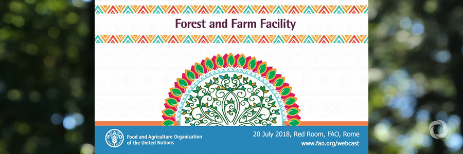 Building stronger, climate-resilient farming and forest communities