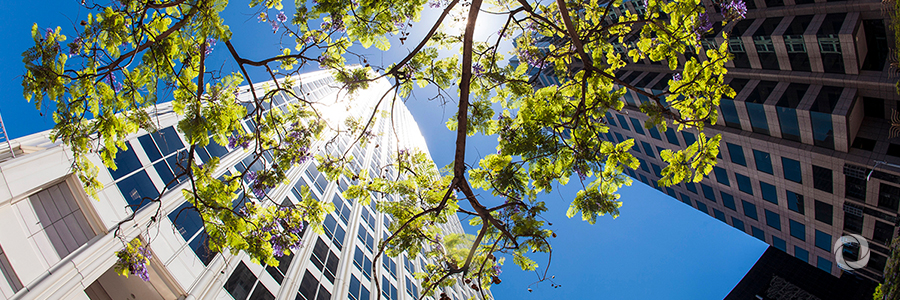 ‘Honest data’ and new ideas key for environmental challenges