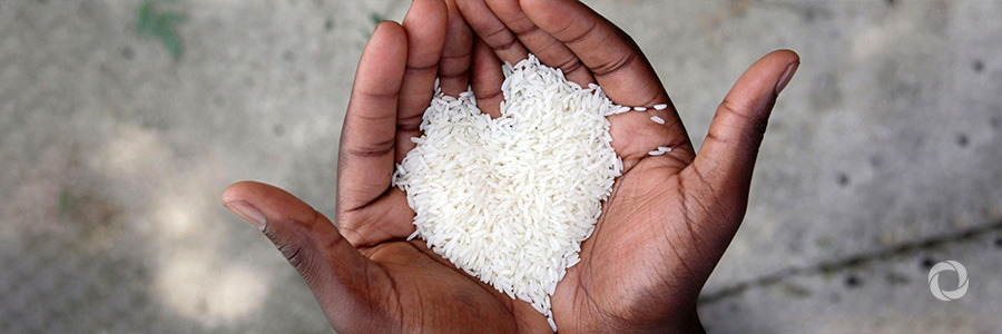 WFP receives Korean rice for refugees in Kenya, Ethiopia and Uganda WFP receives Korean rice for refugees in Kenya, Ethiopia and Uganda