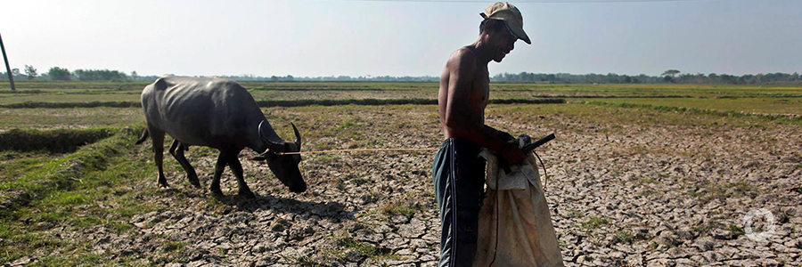 SADC launches a US$2.4 billion appeal to assist millions hit by El Niño-induced drought SADC launches a US$2.4 billion appeal to assist millions hit by El Niño-induced drought