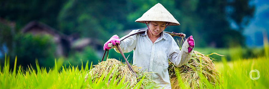 ADB grant promotes sustainable, climate-smart agribusiness in Lao PD ADB grant promotes sustainable, climate-smart agribusiness in Lao PD