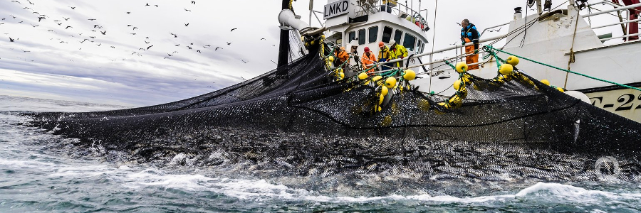 Australia signs a new 10-year partnership arrangement with the Forum Fisheries Agency underpinned by a $20 million investment Australia signs a new 10-year partnership arrangement with the Forum Fisheries Agency underpinned by a $20 million investment