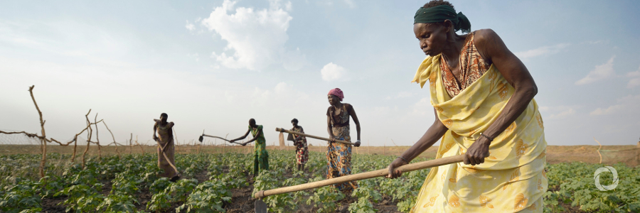 African Development Bank signs US$41 million grant agreement for Sudan’s agriculture value chain development project