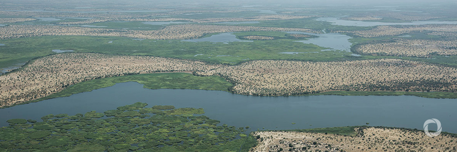 Making the Sustainable Development Goals work for the Lake Chad Basin