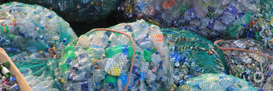 In quest towards climate resilience, Dominica to ban styrofoam, plastic items In quest towards climate resilience, Dominica to ban styrofoam, plastic items