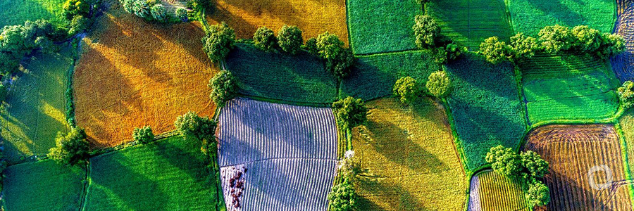 Vietnam embracing climate action in pursuit of a more sustainable, resilient future