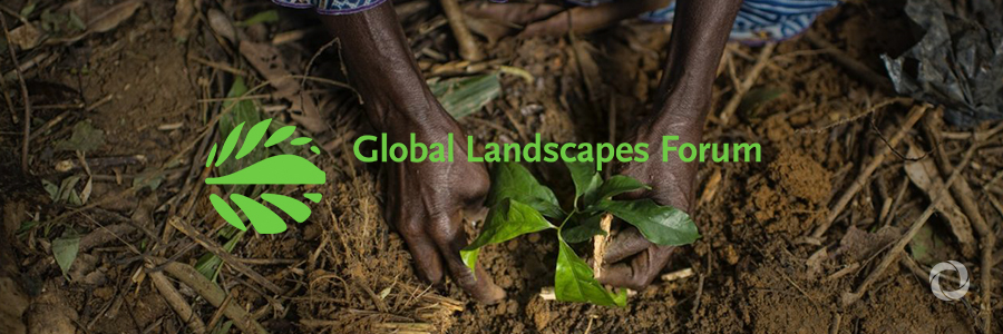Global Landscapes Forum in Nairobi shines spotlight on communities in Africa restoring degraded landscapes Global Landscapes Forum in Nairobi shines spotlight on communities in Africa restoring degraded landscapes