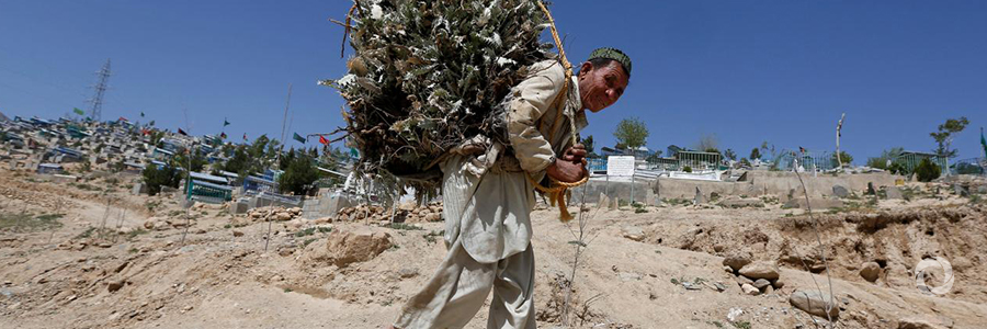 WFP response for drought-hit Afghanistan gets £10 million boost from UK WFP response for drought-hit Afghanistan gets £10 million boost from UK