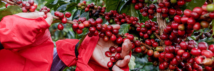 CABEI subscribes financing with El Salvador for US $ 86 million dollars CABEI subscribes financing with El Salvador for US $ 86 million dollars