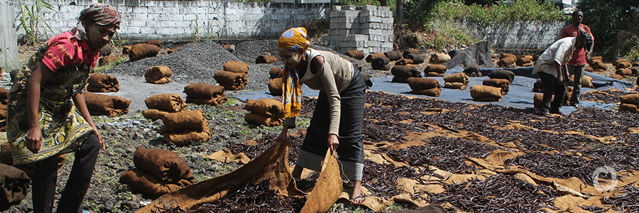 Indian Ocean perfume islands threatened by climate change Indian Ocean perfume islands threatened by climate change