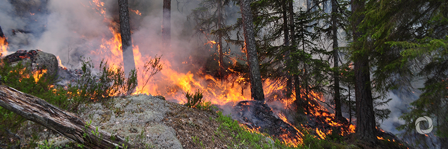 The largest EU civil protection operation helps Sweden fight forest fires The largest EU civil protection operation helps Sweden fight forest fires